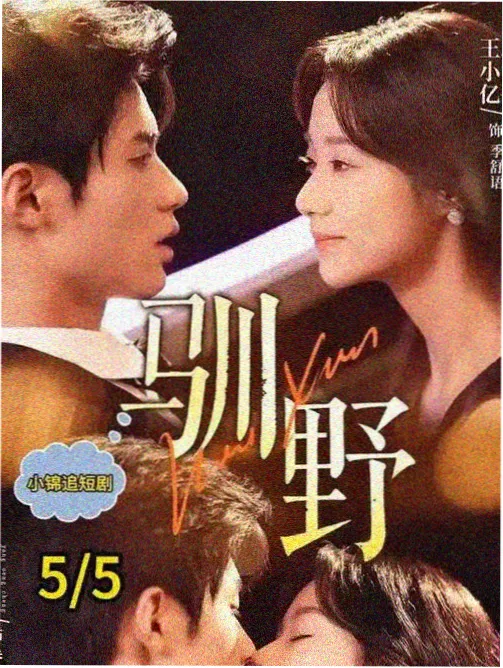 第七个证人 悬疑剧在线观看